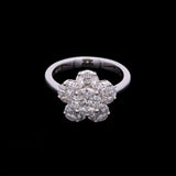 18K White Gold Marquise And Princess Cut Diamond Cluster Ring