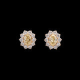 18K Yellow Gold Fancy Yellow Oval Diamond Stud Earrings With Diamond Halos