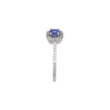 14K White Gold Tanzanite And Diamond Halo Ring
