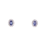 14K White Gold Oval Tanzanite And Diamond Halo Stud Earrings