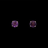 14K Yellow Gold Round Amethyst Stud Earrings