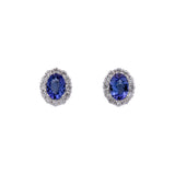 14K White Gold 1.65ctw Tanzanite And Diamond Halo Stud Earrings