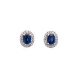 14K White Gold Sapphire And Diamond Halo Stud Earrings